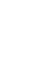 Pride Built Homes lion mark